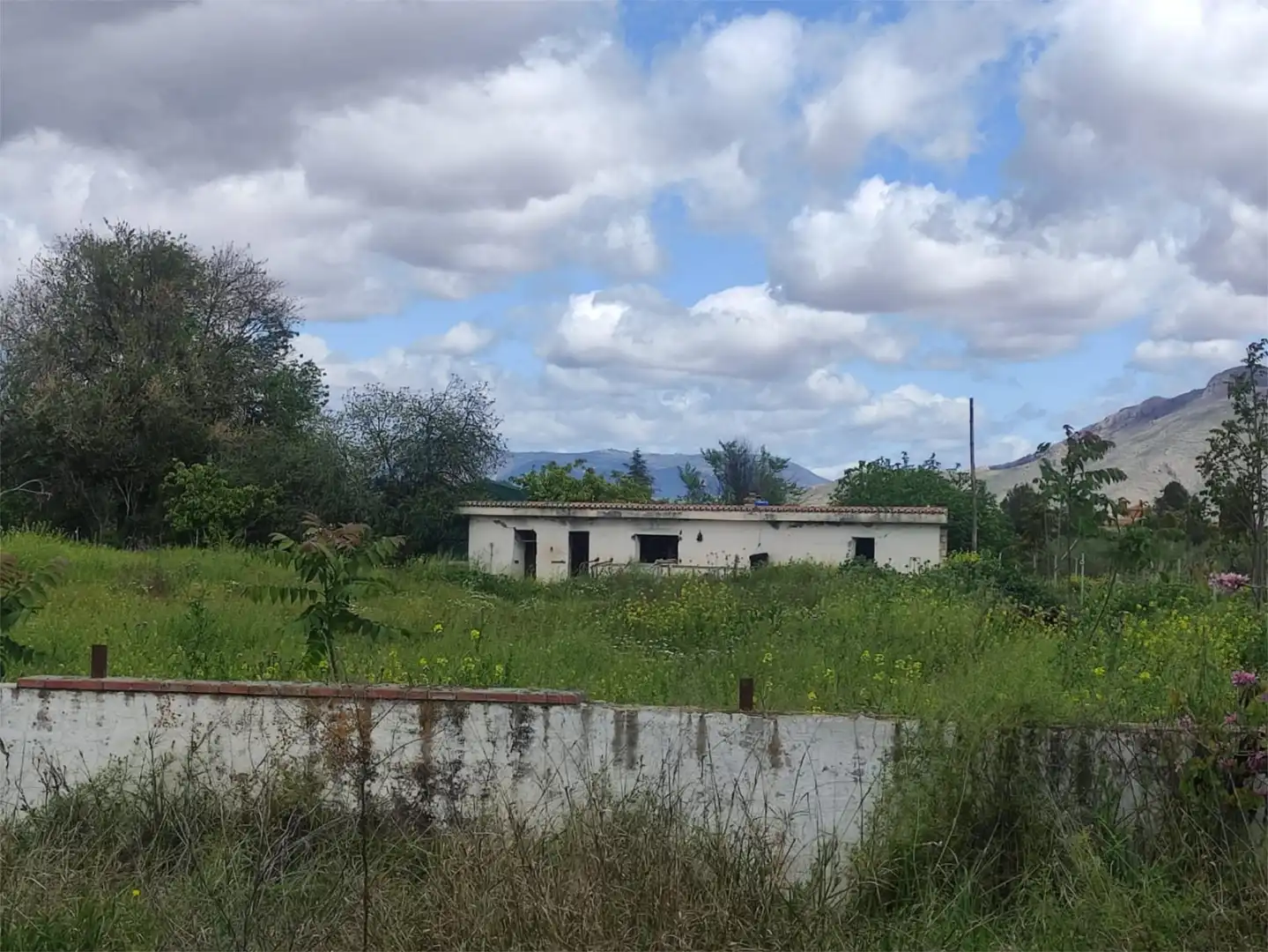 Country homes for sale in Calle Bernard Vicent, 51, Santa Fe Country homes for sale in Calle Bernard Vicent, 51, Santa Fe