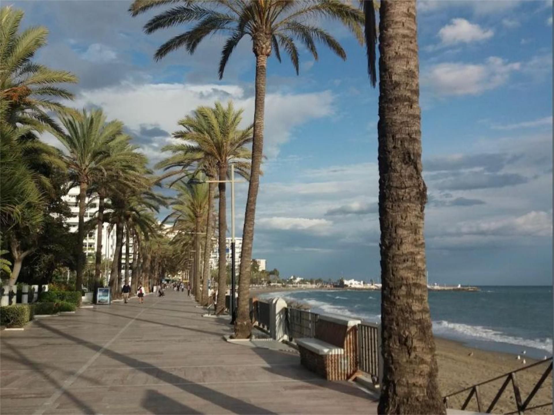Vista exterior de Local de lloguer en Marbella