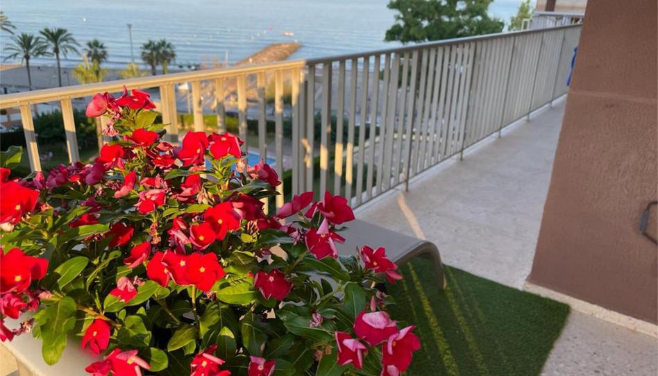 Flat for sale in Carrer Ribalta, 2, Heliópolis, Benicasim / Benicàssim - image 1 Photo 1 of Flat for sale in Carrer Ribalta, 2, Heliópolis, Benicasim / Benicàssim