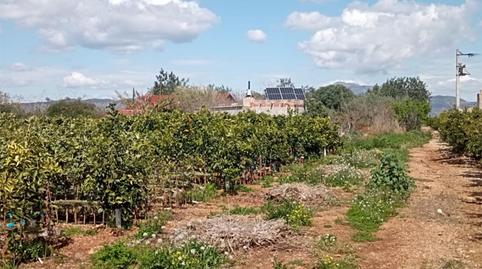 Foto 5 de Pis en venda a Carretera de Vinaròs - Alcanar, 9, Partidas de interior - Zona Rústica, Castellón