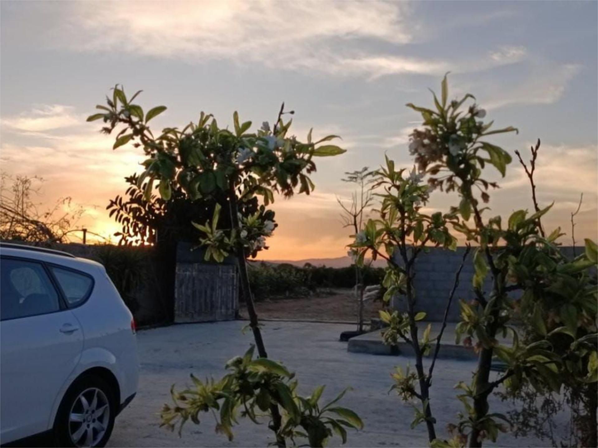 Garden of Flat for sale in Vinaròs  with Private garden, Terrace and Swimming Pool