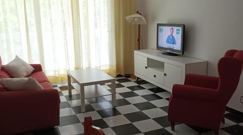 Foto 4 de Pis de lloguer a Calle Pintor Clemente de Torres, 6, Paseo Marítimo - San José - La Laguna, Cádiz