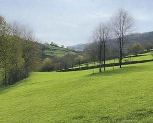 Land for sale in Ruente