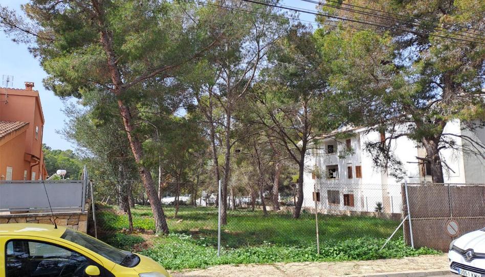 Land for sale in Via Caleta, 5, Santa Ponça, Illes Balears - image 1 Photo 1 of Land for sale in Via Caleta, 5, Santa Ponça, Illes Balears