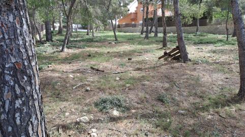 Land for sale in Via Caleta, 5, Santa Ponça, Illes Balears - image 4 Photo 4 of Land for sale in Via Caleta, 5, Santa Ponça, Illes Balears