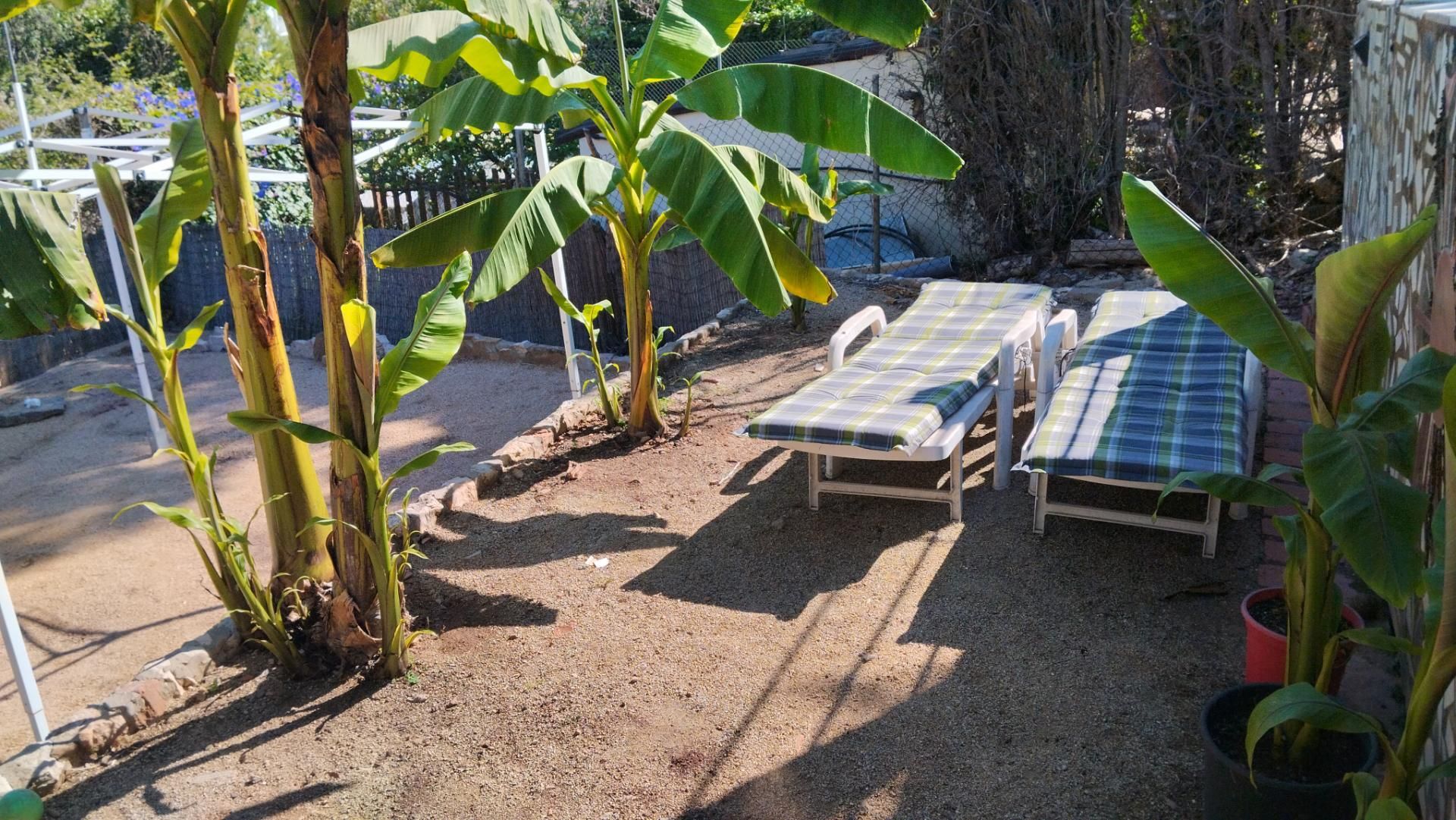 Garden of Country house for sale in Cervelló  with Terrace and Swimming Pool