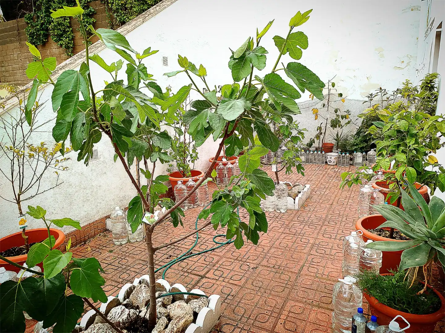 Àtic en venda a Avenida del Río Segura, 57, Calabardina Jardí de Àtic en venda en Águilas amb Aire condicionat, Calefacció i Moblat