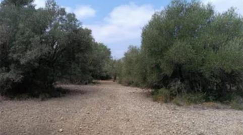 Photo 4 of Constructible Land for sale in Carrer de Sant Llorenç, 1, Jesús - Els Reguers, Tarragona
