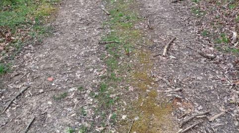 No Urbanizable en venta en Barrio Barretaguren, 12, Artziniega, Araba - Álava - imagen 2 Foto 2 de No Urbanizable en venta en Barrio Barretaguren, 12, Artziniega, Araba - Álava