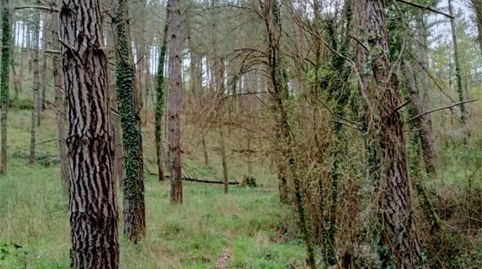 No Urbanizable en venta en Barrio Barretaguren, 12, Artziniega, Araba - Álava - imagen 5 Foto 5 de No Urbanizable en venta en Barrio Barretaguren, 12, Artziniega, Araba - Álava