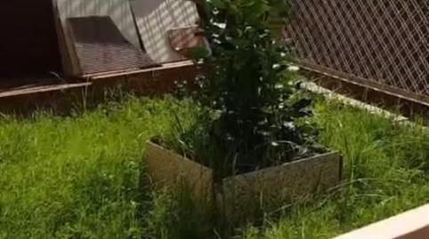 Casa adosada en venda a Camiño Montiño, 7, Teis, Pontevedra - imatge 4 Foto 4 de Casa adosada en venda a Camiño Montiño, 7, Teis, Pontevedra