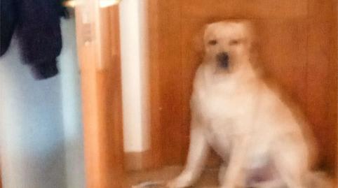 Casa o xalet en venda a Calle Benalmádena, 2, Arroyo de la Miel, Málaga - imatge 5 Foto 5 de Casa o xalet en venda a Calle Benalmádena, 2, Arroyo de la Miel, Málaga