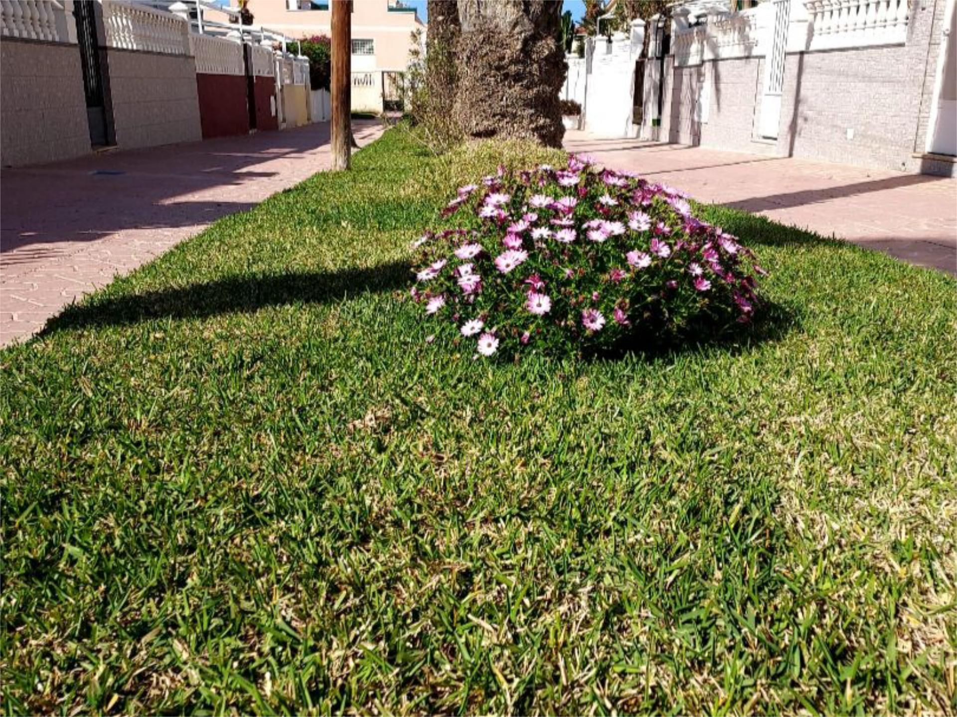 Jardí de Casa adosada en venda en Santa Pola amb Aire condicionat, Calefacció i Jardí privat