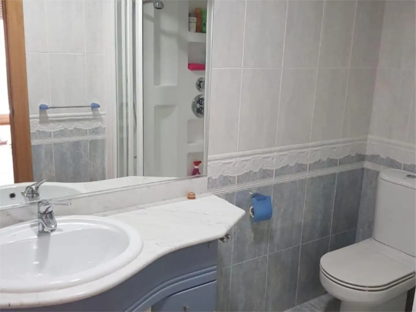 Bany de Pis en venda en Burgos Capital amb Terrassa