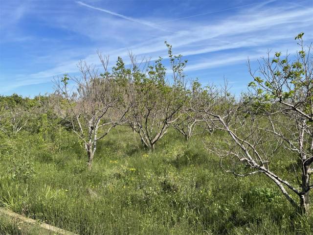 Terreno en Venta en Carrer del Doctor Fleming, 2 en Polinyà de Xúquer