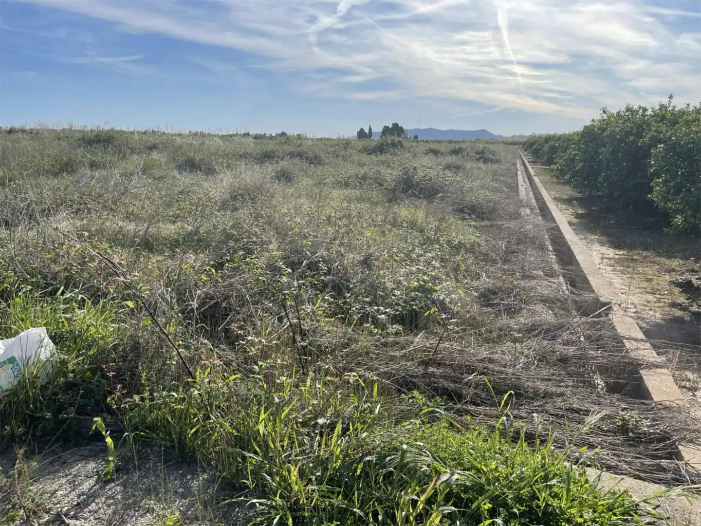 Finca rústica en venda en Polinyà de Xúquer