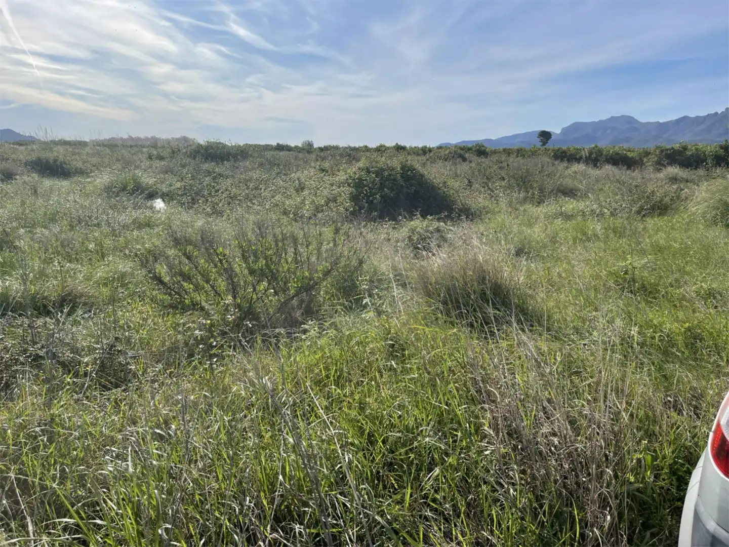 Finca rústica en venda en Polinyà de Xúquer