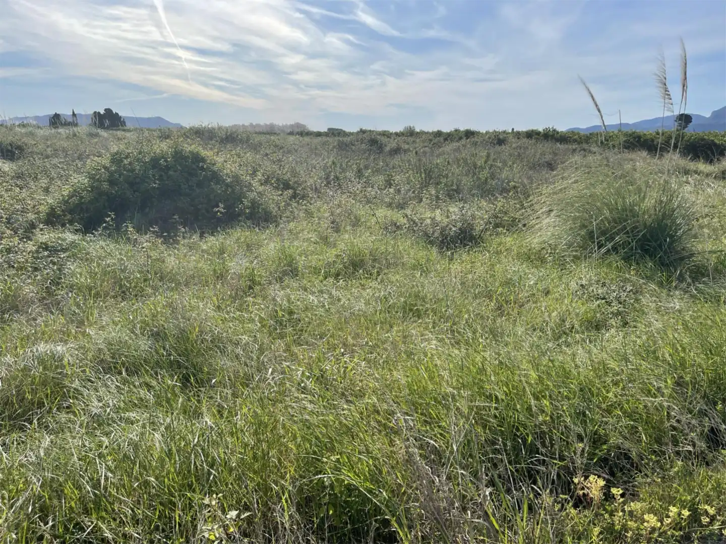 Finca rústica en venda en Polinyà de Xúquer