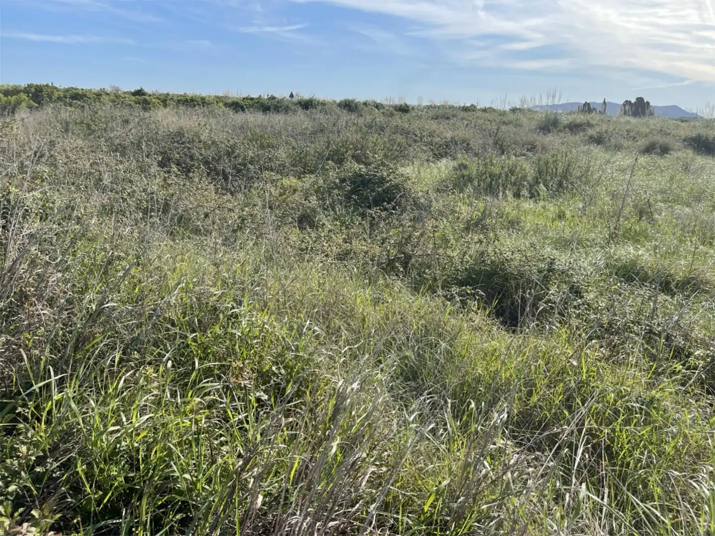 Finca rústica en venda en Polinyà de Xúquer
