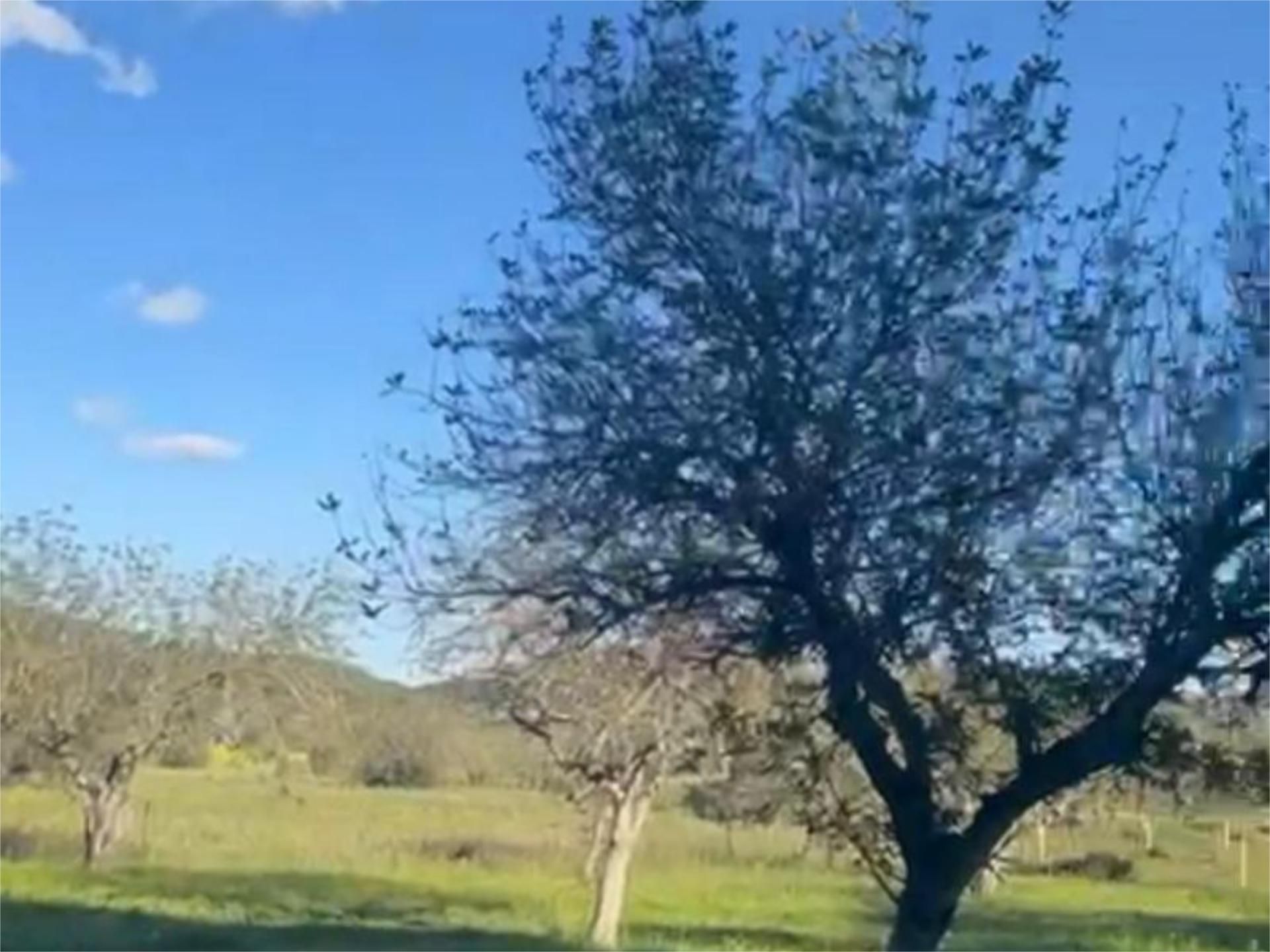 Exterior view of Land for sale in Sant Joan de Labritja