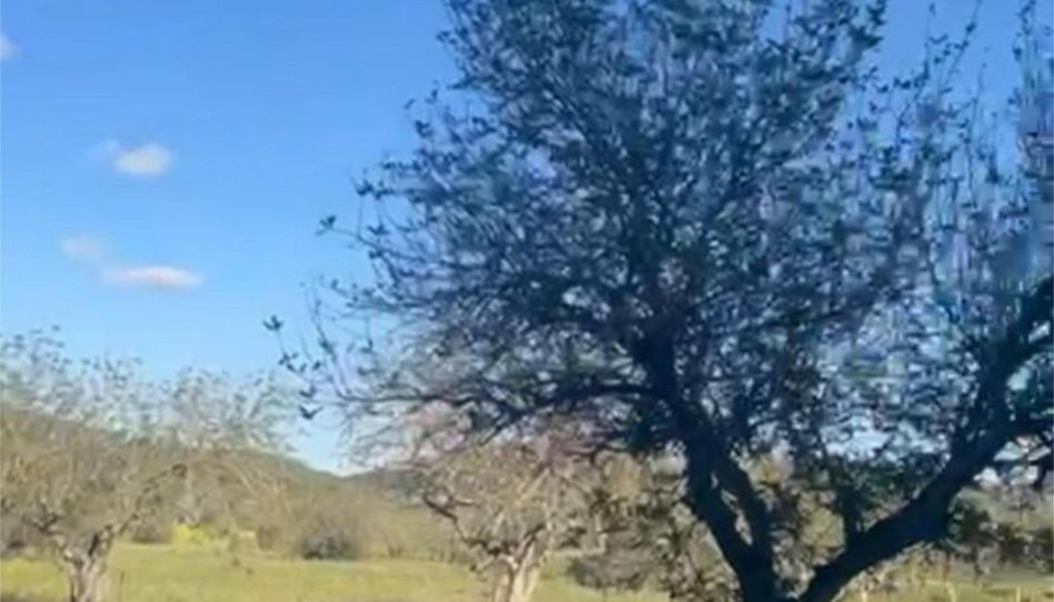 Terreno en venta en Calle Ds Rubio, 1, Sant Joan de Labritja, Illes Balears - imagen 1 Foto 1 de Terreno en venta en Calle Ds Rubio, 1, Sant Joan de Labritja, Illes Balears