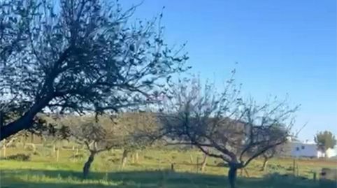 Terreno en venta en Calle Ds Rubio, 1, Sant Joan de Labritja, Illes Balears - imagen 2 Foto 2 de Terreno en venta en Calle Ds Rubio, 1, Sant Joan de Labritja, Illes Balears