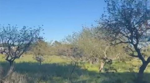 Terreno en venta en Calle Ds Rubio, 1, Sant Joan de Labritja, Illes Balears - imagen 3 Foto 3 de Terreno en venta en Calle Ds Rubio, 1, Sant Joan de Labritja, Illes Balears