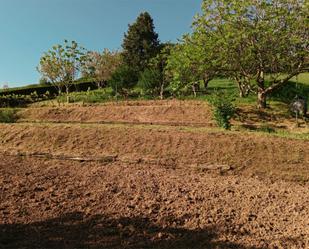Constructible Land for sale in Ortuella