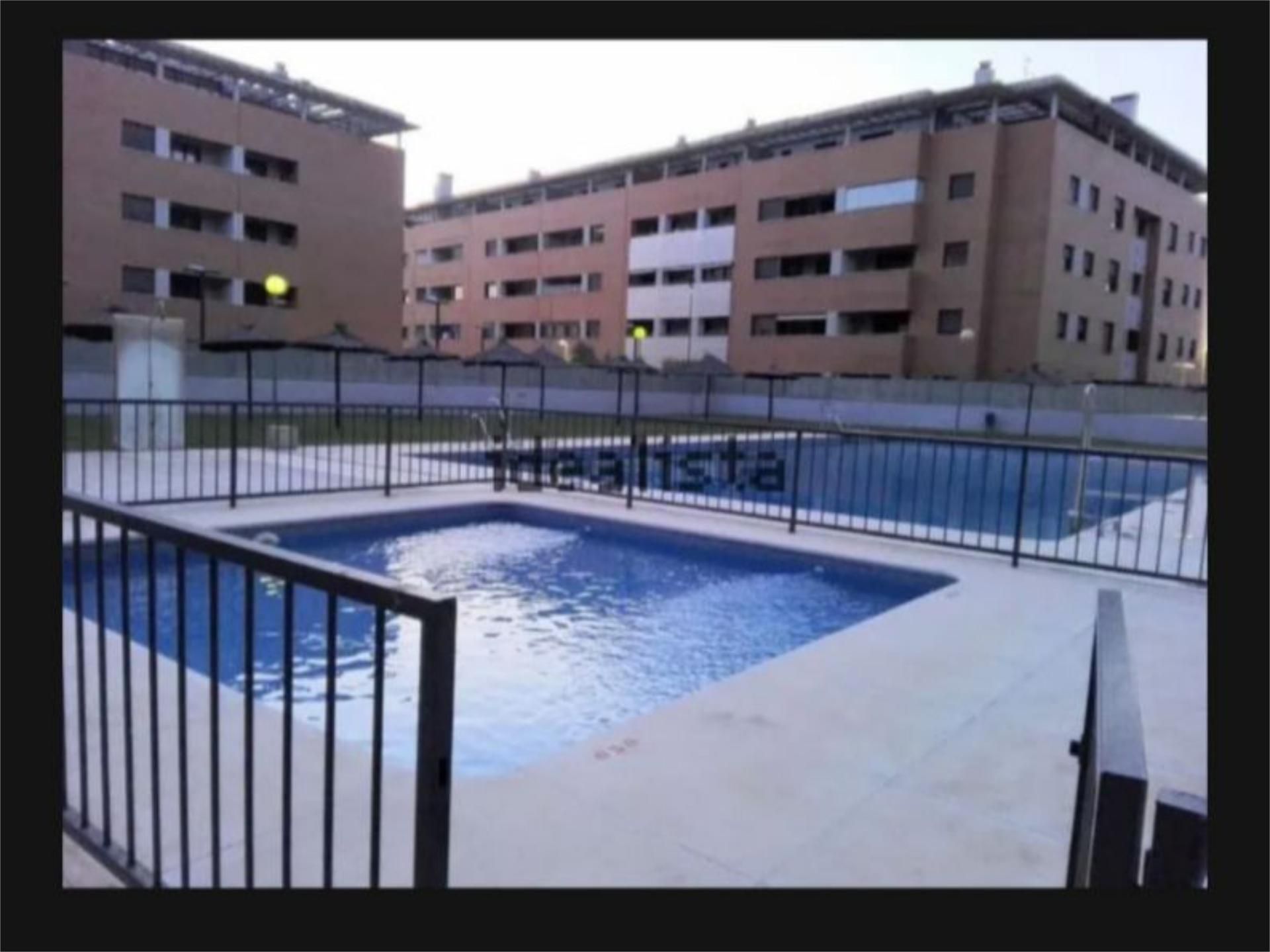 Swimming pool of Flat to rent in Mairena del Aljarafe  with Air Conditioner, Terrace and Swimming Pool