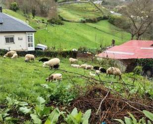 Vista exterior de Casa o xalet en venda en A Gudiña  amb Terrassa