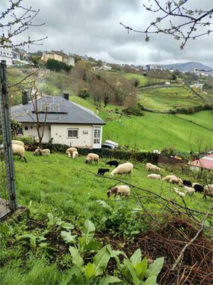 Vista exterior de Casa o xalet en venda en A Gudiña  amb Calefacció, Jardí privat i Terrassa