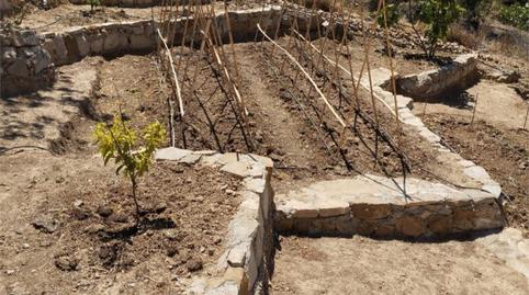 Foto 3 de Finca rústica en venta en Diseminado Poligono 160, 83, Bobadilla - Bobadilla Estación - La Joya, Málaga