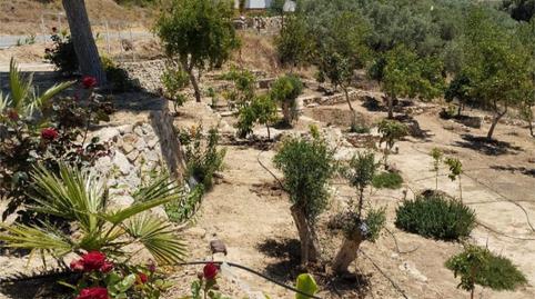 Foto 4 de Finca rústica en venta en Diseminado Poligono 160, 83, Bobadilla - Bobadilla Estación - La Joya, Málaga