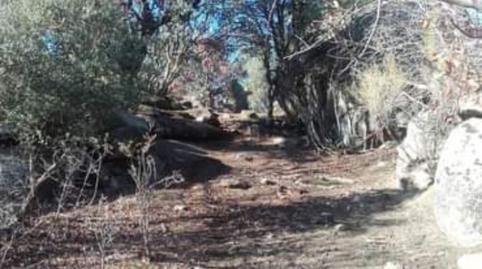 Foto 2 von Nicht bebaubares Gelände zum Verkauf in Carretera Toledo Ávila, 147, Cebreros, Ávila