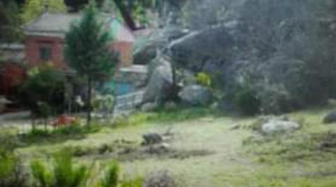 Foto 4 von Nicht bebaubares Gelände zum Verkauf in Carretera Toledo Ávila, 147, Cebreros, Ávila