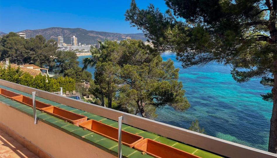 Apartment for sale in Avinguda Notari Alemany, 15, Magaluf, Illes Balears - image 1 Photo 1 of Apartment for sale in Avinguda Notari Alemany, 15, Magaluf, Illes Balears