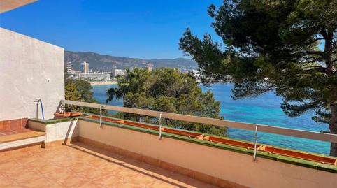Apartment for sale in Avinguda Notari Alemany, 15, Magaluf, Illes Balears - image 2 Photo 2 of Apartment for sale in Avinguda Notari Alemany, 15, Magaluf, Illes Balears
