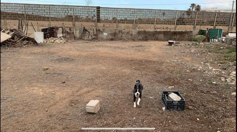 Photo 4 of Non-constructible Land for sale in Camino de la Betancora, 27, San Juan, Las Palmas
