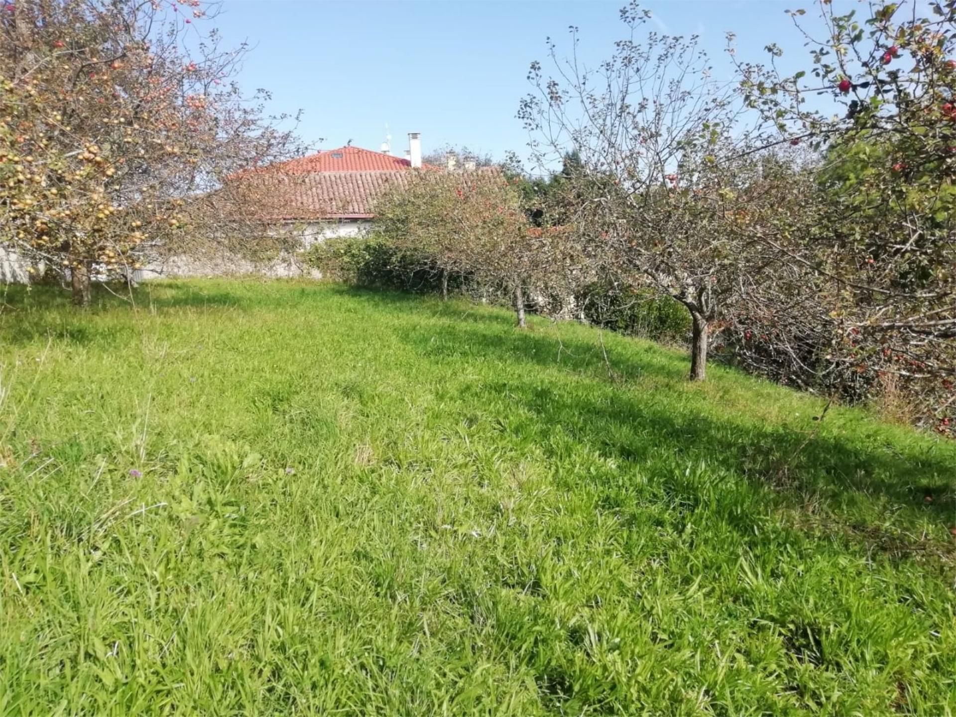 Constructible Land for sale in Villaviciosa