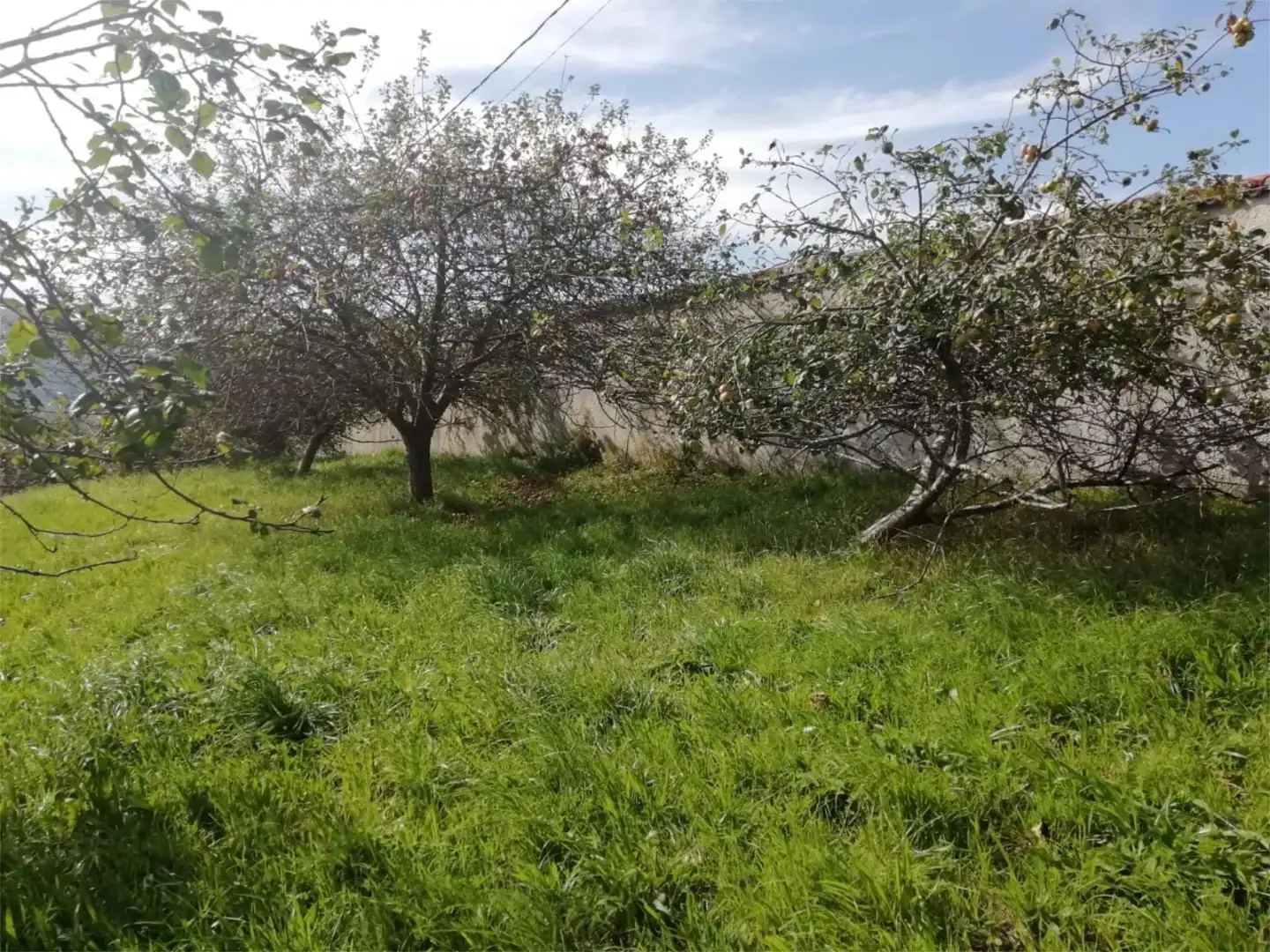Urbanitzable en venda a AS-332, 9, Parroquias surorientales Urbanitzable en venda en Villaviciosa