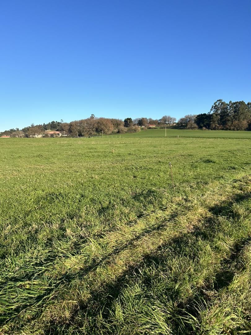 Grundstücke zur Miete in Silleda