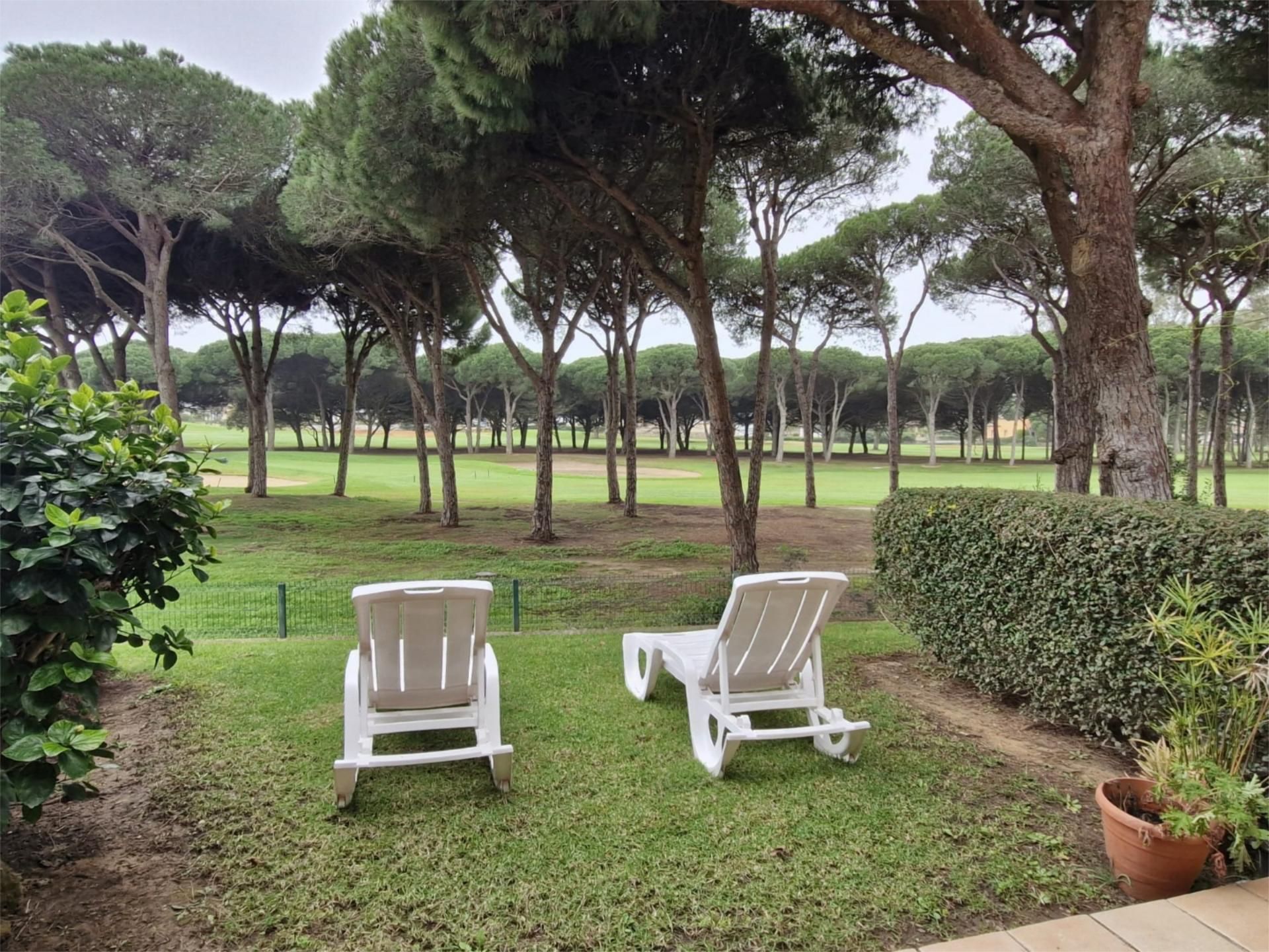 Jardí de Casa adosada de lloguer en Chiclana de la Frontera amb Jardí privat, Terrassa i Moblat
