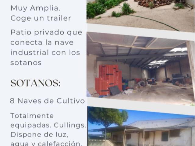 Finca rústica en Venta en Diseminado Diseminados, 624 en Quintanar del Rey