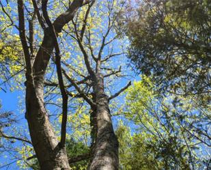 Garden of Land for sale in Gaintza