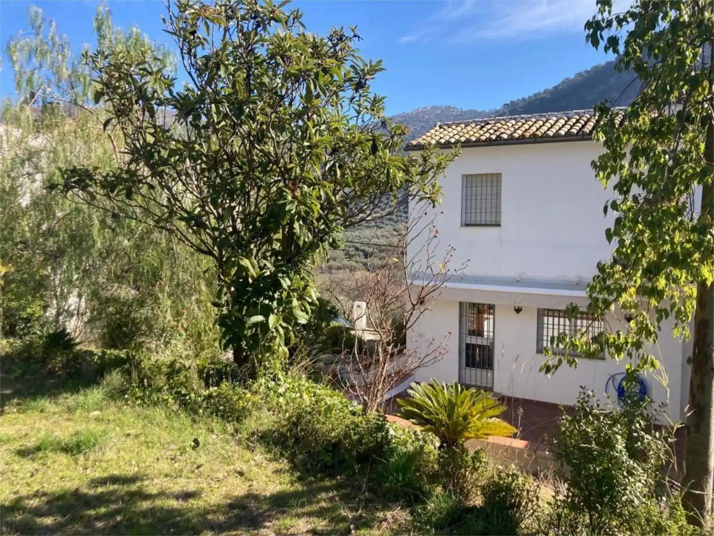 Casa o chalet en venta en Las Piedras, 7, Rute Vista exterior de Casa o chalet en venta en Rute con Terraza y Balcón