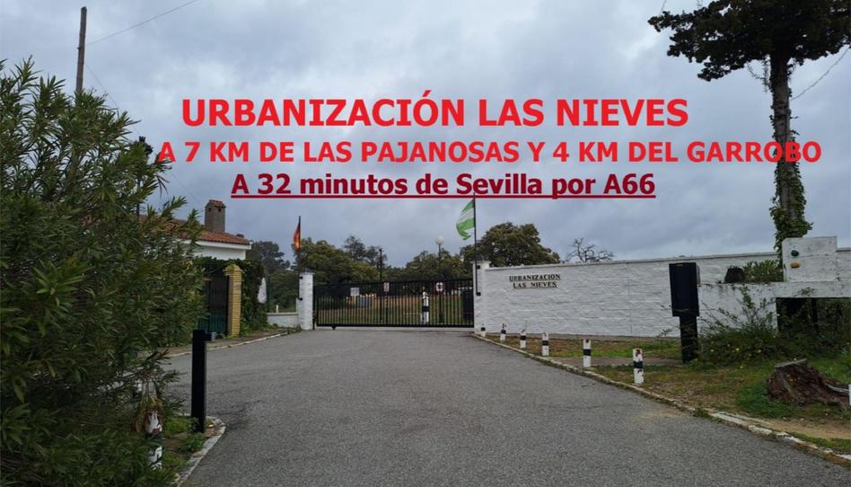 Flat for sale in Calle Cruz del Sur, 100, Guillena pueblo, Sevilla - image 1 Photo 1 of Flat for sale in Calle Cruz del Sur, 100, Guillena pueblo, Sevilla