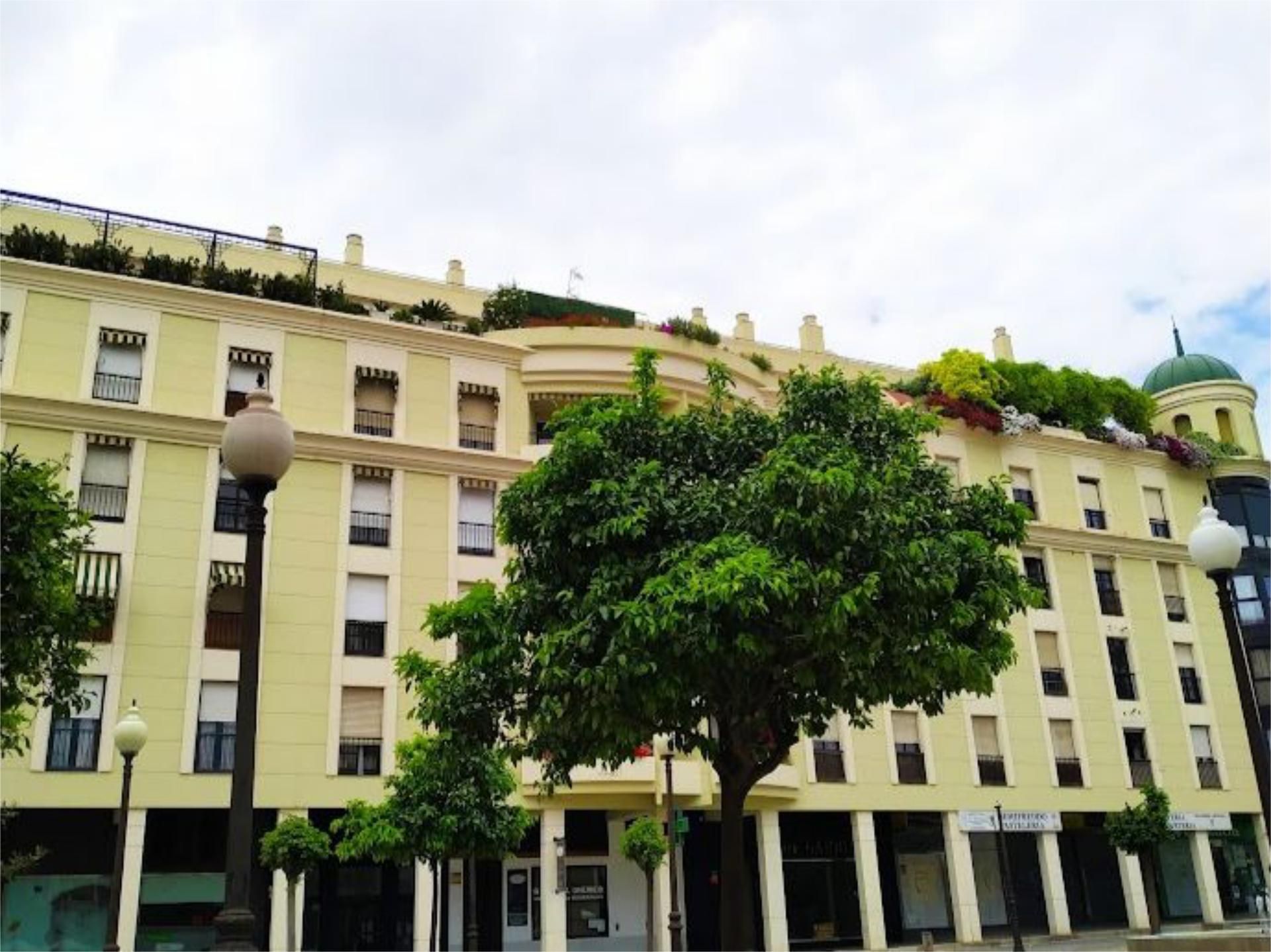 Flat to rent in Calle Cronista Salcedo Hierro, 3, Ollerías - San Cayetano