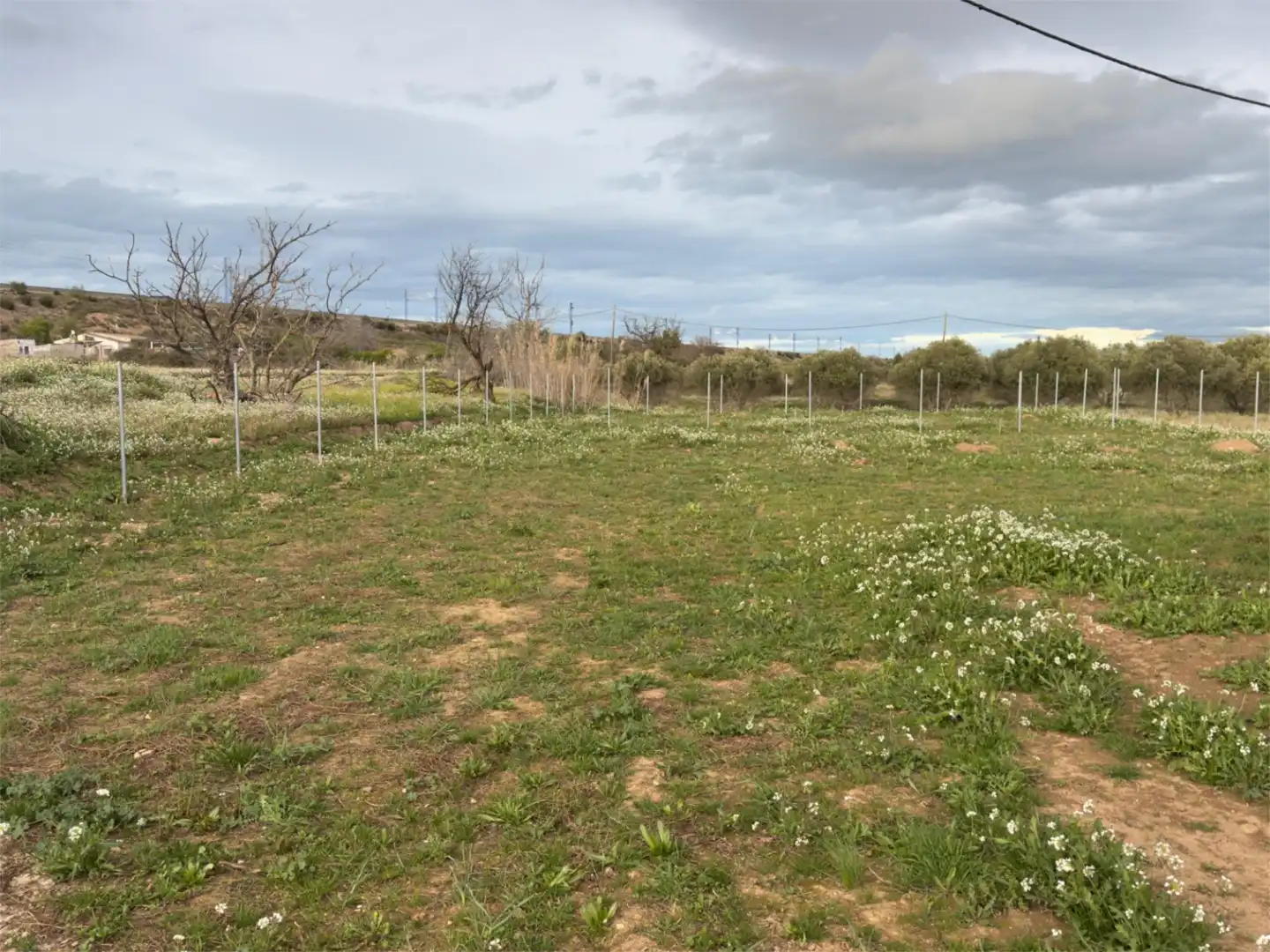 No Urbanizable en venta en Calle de la Estación, 1, Barrio Jesús No Urbanizable en venta en Zaragoza