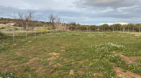 Non-constructible Land for sale in Calle de la Estación, 1, Barrio Jesús, Zaragoza - image 3 Photo 3 of Non-constructible Land for sale in Calle de la Estación, 1, Barrio Jesús, Zaragoza