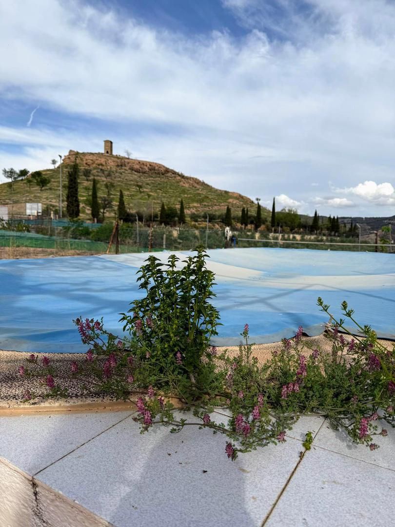 Garden of Country house for sale in Cabra del Santo Cristo  with Air Conditioner, Heating and Private garden